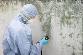 Hebron, PA Mold Prevention & Removal  Company